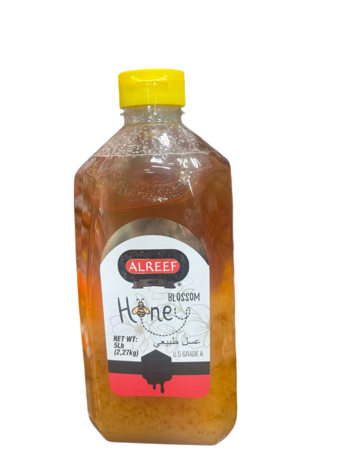 Al Reef Blossom Honey (5 lb.) - Papaya Express
