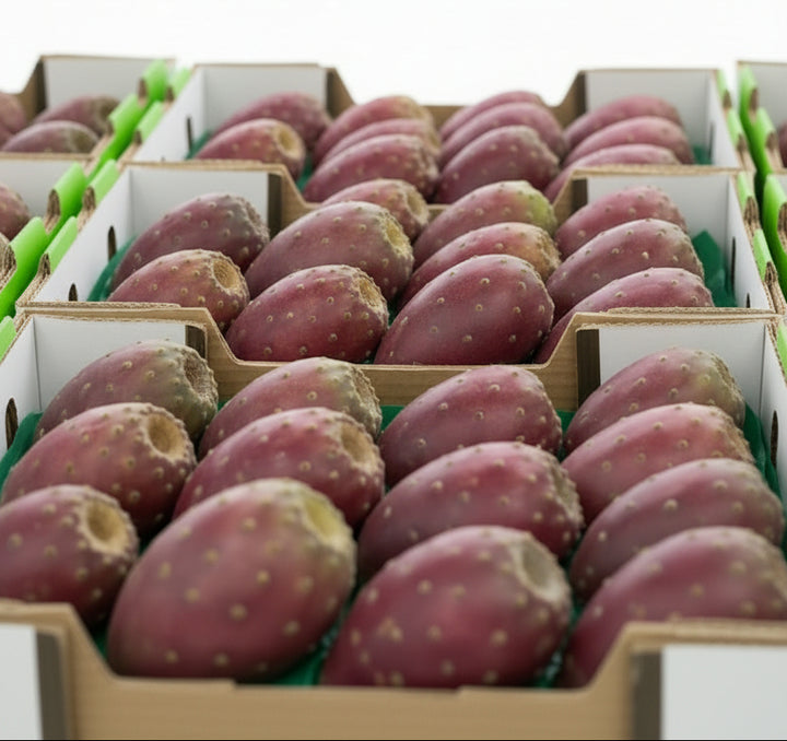 Cactus Pear Tray (By Each)