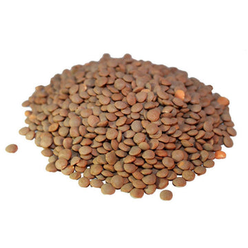 Brown Lentils (Per LB) - Papaya Express