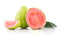 Guava Pink ( By LB ) - Papaya Express