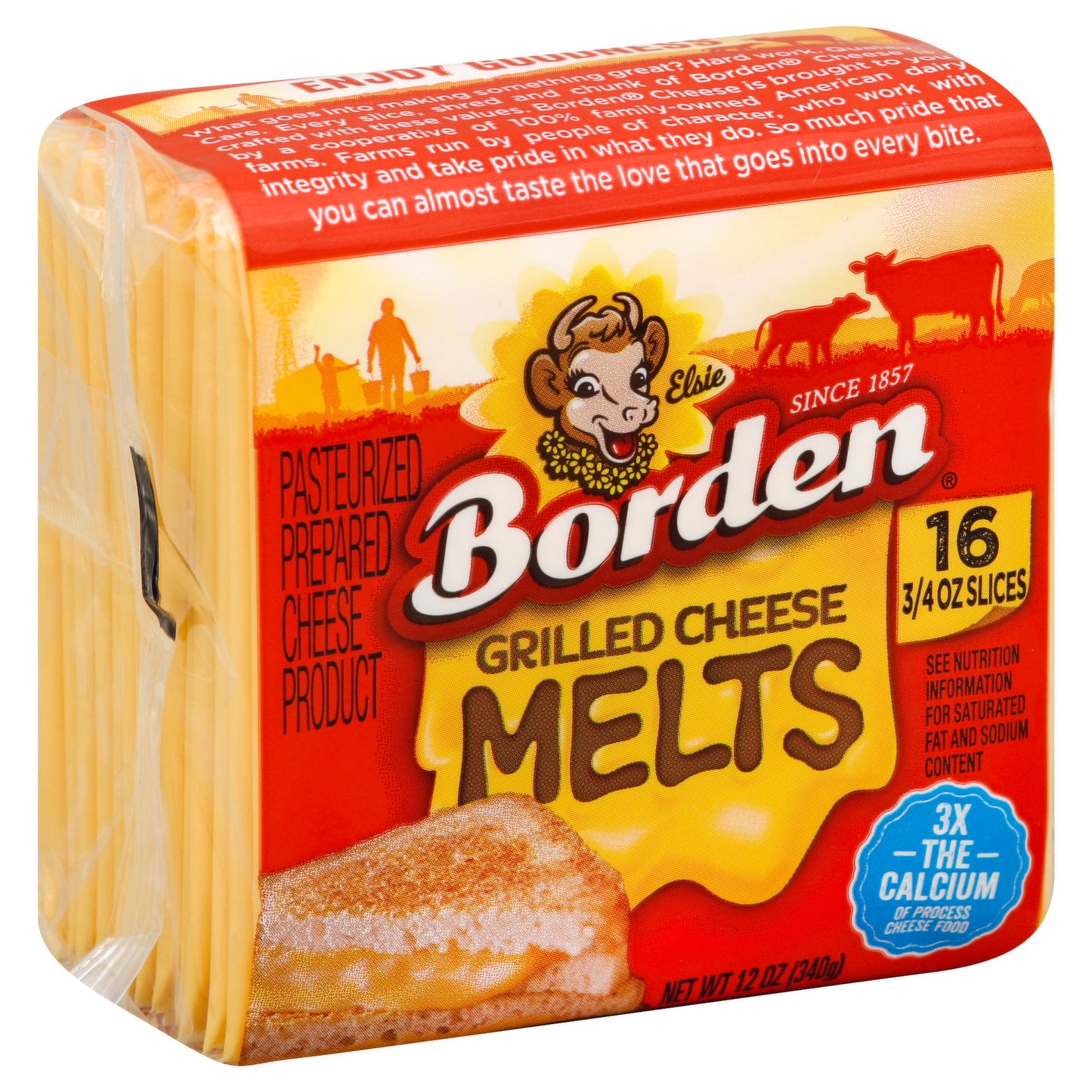 Borden American Cheese (340g)