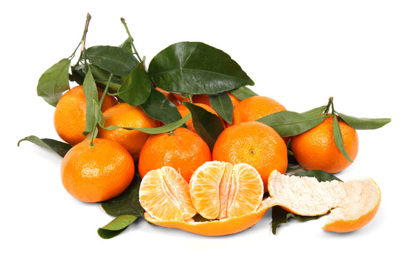 Oranges Satsuma ( By LB ) - Papaya Express