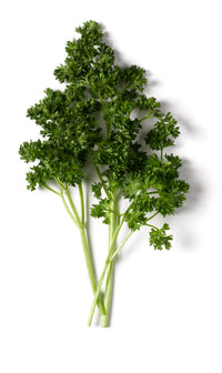 Parsley Curly ( By Each ) - Papaya Express