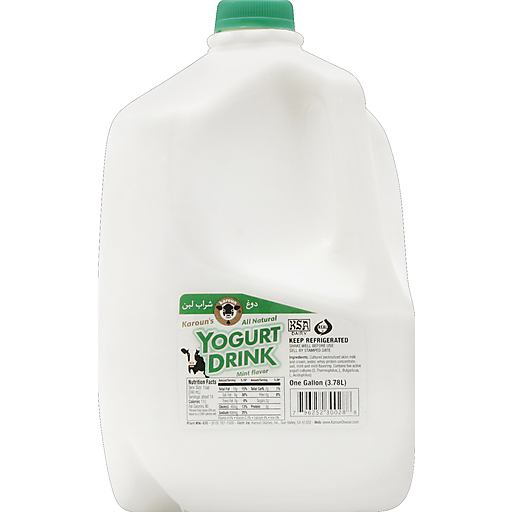 Karoun Mint Yogurt Drink (3.78L) - Papaya Express