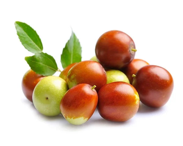 Jujube ( By LB ) - Papaya Express