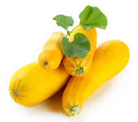 Zucchini Yellow ( By Each ) - Papaya Express