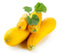 Zucchini Yellow ( By Each ) - Papaya Express