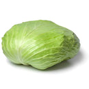 Flat Cabbage ( By LB ) - Papaya Express