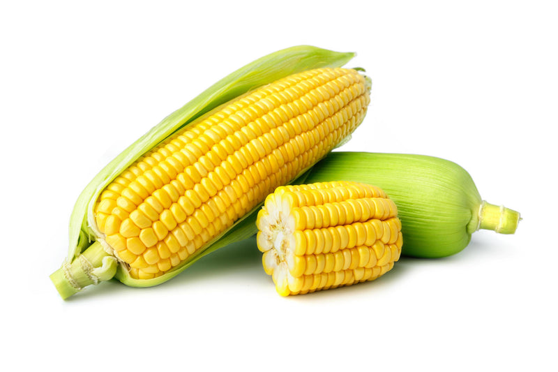 Corn ( By Each ) - Papaya Express
