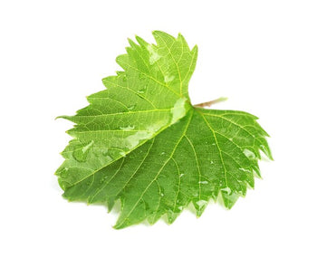 Grape Leaves ( By LB ) - Papaya Express