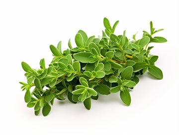 Fresh Thyme ( By Each ) - Papaya Express