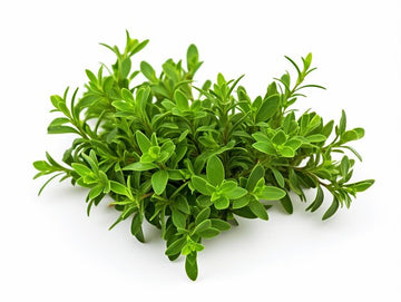 Fresh Thyme ( By Each ) - Papaya Express