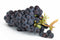 Grapes Black ( By LB ) - Papaya Express