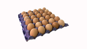 Amish Eggs Baladi (24ct) - Papaya Express