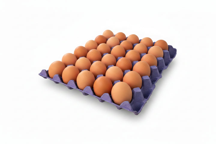 Amish Eggs Baladi (24ct) - Papaya Express