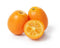 kumquat ( By LB ) - Papaya Express
