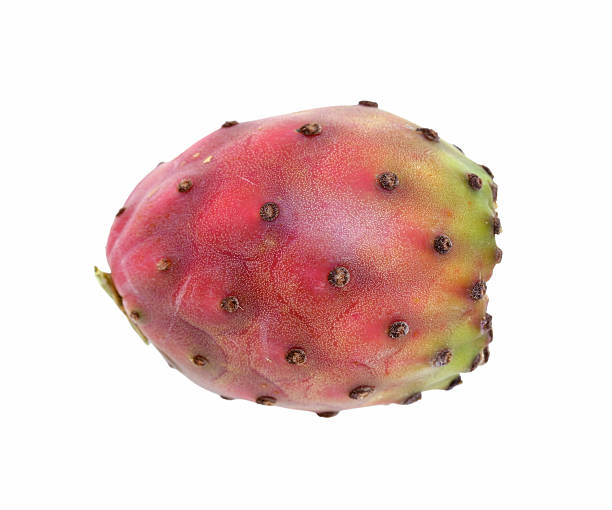 Cactus Pears Red ( By Each ) - Papaya Express