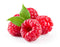 Raspberries Pack ( By Each ) - Papaya Express