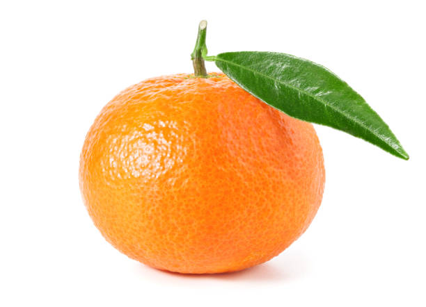 Oranges Satsuma ( By LB ) - Papaya Express