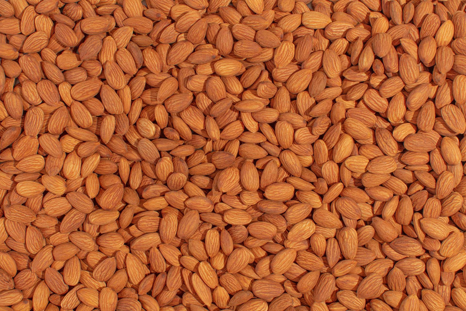 Small Raw Almond , Per LB - Papaya Express