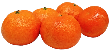 Oranges Mandarins  ( By LB ) - Papaya Express