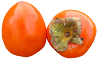 Persimmons  ( By Each ) - Papaya Express