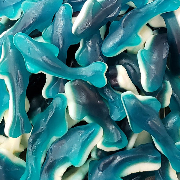 Blue Gummy Sharks Halal (11.2 oz)