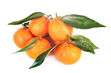 Oranges Satsuma ( By LB ) - Papaya Express