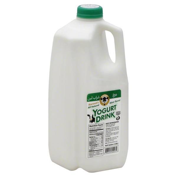 Dana Mint Yogurt Drink (1/2gal) - Papaya Express