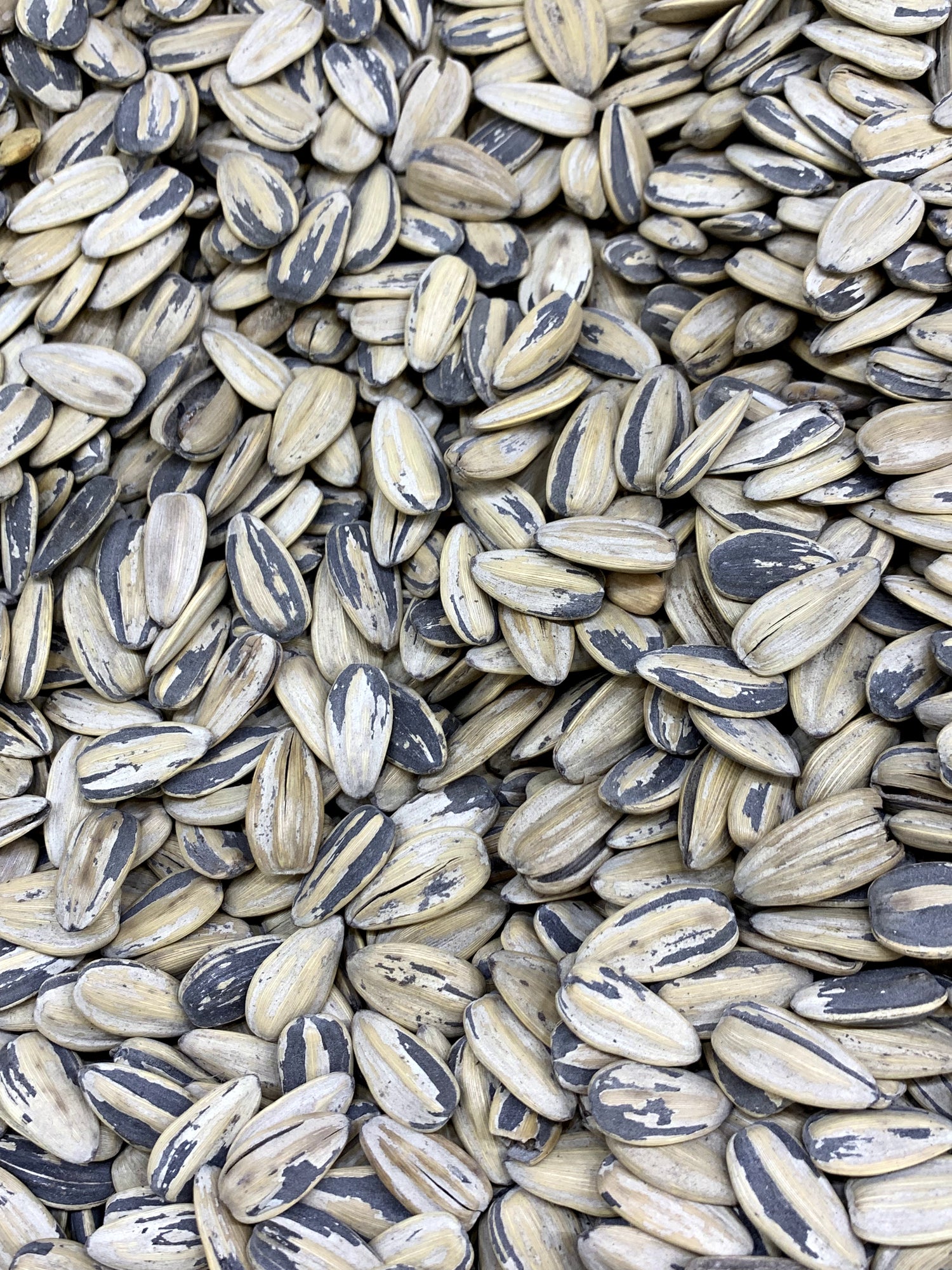 Bleached Sunflower Seeds 1lb - Papaya Express