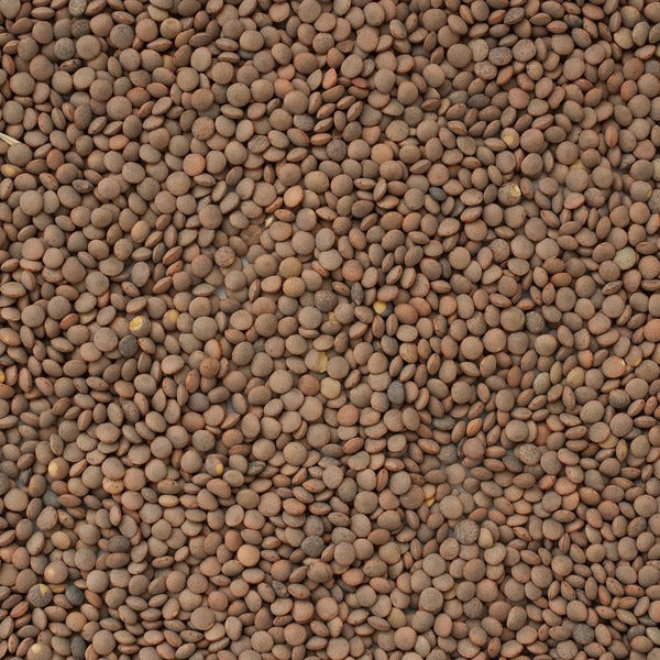 Brown Lentils, per 16oz - Papaya Express