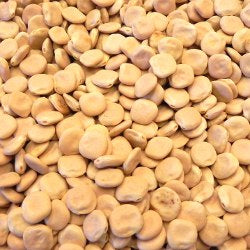 Dry Lupini Beans, per 16oz - Papaya Express