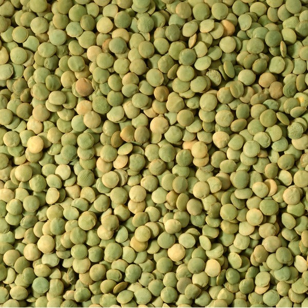Green Lentils, per 16oz - Papaya Express