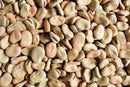 Large Broad Beans, per 16oz - Papaya Express